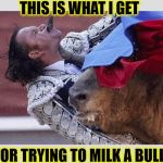 Bull fighting gone wrong | THIS IS WHAT I GET; FOR TRYING TO MILK A BULL | image tagged in bull fighting gone wrong | made w/ Imgflip meme maker