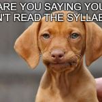 unamused dog | ARE YOU SAYING YOU DIDN'T READ THE SYLLABUS? | image tagged in unamused dog | made w/ Imgflip meme maker