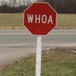 Whoa | SCOTTISH HIGHLANDER STOP SIGN | image tagged in whoa | made w/ Imgflip meme maker