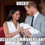Royal Brexit | BREXIT; NOT JUST FOR COMMONERS ANYMORE | image tagged in baby,prince harry,meghan markle | made w/ Imgflip meme maker