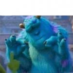 Pleased Sulley