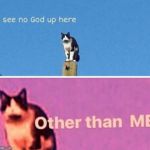 No God Up Here Cat Meme Generator Imgflip