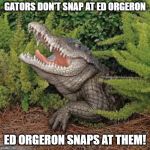 Swamp Gator | GATORS DON'T SNAP AT ED ORGERON; ED ORGERON SNAPS AT THEM! | image tagged in swamp gator | made w/ Imgflip meme maker