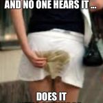 Shart Skirt | IF YOU SHART YOURSELF AND NO ONE HEARS IT ... DOES IT STILL STINK??? | image tagged in shart,shit,fart,skirt,philosophy | made w/ Imgflip meme maker