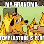 The elderly are always too cold | MY GRANDMA:; "THE TEMPERATURE IS PERFECT!" | image tagged in dog on fire,elderly,too cold,too funny,funny memes | made w/ Imgflip meme maker