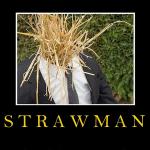 Straw Man Argument - nobody has ever said that