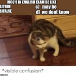 visible confusion | MCQ'S IN ENGLISH EXAM BE LIKE
A)TRUE
B)FALSE; c)   may be
               d)  we dont know | image tagged in visible confusion | made w/ Imgflip meme maker