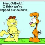 Odfield and Garie | Hey, Odfield, I think we've swapped our colours. | image tagged in odfield and garie | made w/ Imgflip meme maker