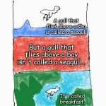 Gull | A gull that flies above a sea is called a seagull; But a gull that flies above a bay isn't called a seagull... It's called breakfast. | image tagged in gull | made w/ Imgflip meme maker