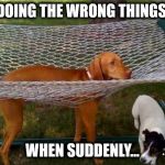 When You Have Failed UP | DOING THE WRONG THINGS; WHEN SUDDENLY... | image tagged in fail dog,fail army,failure,spectacular fail,i've failed and i can't get up,that face you make when | made w/ Imgflip meme maker