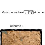 Mom at home | VIEWS; VIEWS | image tagged in mom at home | made w/ Imgflip meme maker