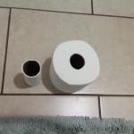 TP comparison meme