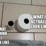 TP comparison | WHAT I ACTUALLY LOOK LIKE; WHAT I THINK I LOOK LIKE | image tagged in tp comparison | made w/ Imgflip meme maker