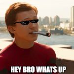 Tom Holland Spider-Man  | HEY BRO WHATS UP | image tagged in tom holland spider-man | made w/ Imgflip meme maker