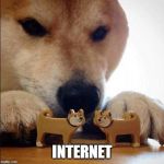 Dog fight  | INTERNET | image tagged in dog fight | made w/ Imgflip meme maker