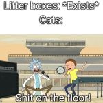 get schwifty shit on the floor | Litter boxes: *Exists*; Cats:; Shit on the floor! | image tagged in get schwifty shit on the floor | made w/ Imgflip meme maker