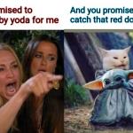 Woman yelling at baby yoda cat