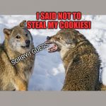 NO COOKIE STEALING | I SAID NOT TO STEAL MY COOKIES! SORRY I GUESS | image tagged in noooooooo,nooooooooo,noooooooooooooooooooooooo,cookies,cookie monster,wolf | made w/ Imgflip meme maker
