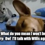 Meghan Discussing Things With Harry | Meghan:  What do you mean I won’t be Queen?
Harry:  Ow!  I’ll talk with Wills again. | image tagged in gifs,cat hitting dog,royal,memes,prince harry,meghan markle | made w/ Imgflip video-to-gif maker