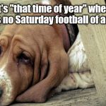 <sigh> | It's "that time of year" when there is no Saturday football of any kind. | image tagged in depressive dog | made w/ Imgflip meme maker