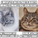 Expectations VS Reality Cats (un-messed up) | I WENT TO AN ID PHOTO BOOTH CLAIMING TO MAKE YOU LOOK BEAUTIFUL; HOW I THOUGHT MY PHOTO WOULD LOOK LIKE; HOW MY PHOTO ACTUALLY LOOKS LIKE | image tagged in expectations vs reality cats un-messed up | made w/ Imgflip meme maker