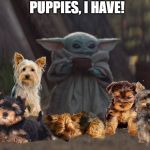 Baby yoda cup | PUPPIES, I HAVE! | image tagged in baby yoda cup | made w/ Imgflip meme maker