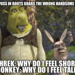 sheck face swap | WHEN PUSS IN BOOTS GRABS THE WRONG HANDSOME POTION; SHREK: WHY DO I FEEL SHORT? DONKEY: WHY DO I FEEL TALL? | image tagged in sheck face swap | made w/ Imgflip meme maker