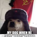 commie doggie | MY DOG WHEN HE SEES ME EATING FOOD | image tagged in commie doggie | made w/ Imgflip meme maker