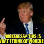 What is your opinion of Wokeness? | WOKENESS? THIS IS WHAT I THINK OF WOKENESS | image tagged in trump gives the bird,woke,memes,funny meme | made w/ Imgflip meme maker