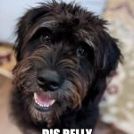 Cute Black Dog | OH, I HAMSUM? DIS BELLY DON'T RUB ITSELF. | image tagged in cute black dog | made w/ Imgflip meme maker