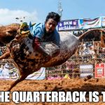 And the Quarterback is Toast! | AND THE QUARTERBACK IS TOAST! | image tagged in quarterback,toast,cow,tackle,holy cow | made w/ Imgflip meme maker