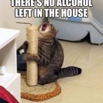 Over Dramatic Cat | THERE’S NO ALCOHOL LEFT IN THE HOUSE | image tagged in over dramatic cat | made w/ Imgflip meme maker