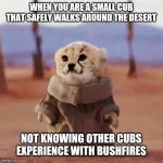 Baby Yoda Wild | WHEN YOU ARE A SMALL CUB THAT SAFELY WALKS AROUND THE DESERT; NOT KNOWING OTHER CUBS EXPERIENCE WITH BUSHFIRES | image tagged in baby yoda wild | made w/ Imgflip meme maker
