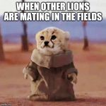 Baby Yoda Wild | WHEN OTHER LIONS ARE MATING IN THE FIELDS | image tagged in baby yoda wild | made w/ Imgflip meme maker