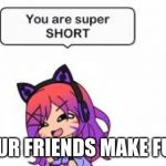 Super Short | WHEN UR FRIENDS MAKE FUN OF U | image tagged in super short | made w/ Imgflip meme maker