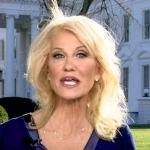 Kellyann Conway
