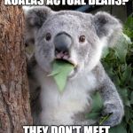 kola | WHY AREN'T KOALAS ACTUAL BEARS? THEY DON'T MEET THE KOALAFICATIONS. | image tagged in kola | made w/ Imgflip meme maker