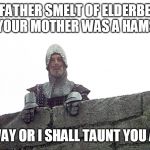 french knight | YOUR FATHER SMELT OF ELDERBERRIES AND YOUR MOTHER WAS A HAMSTER. GO AWAY OR I SHALL TAUNT YOU AGAIN. | image tagged in french knight | made w/ Imgflip meme maker