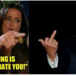 What I do when confronted with nonsense | "EVERYTHING IS YOUR FAULT, I HATE YOU!" | image tagged in woman yelling at trump,memes,funny memes,funny,woman yelling at cat | made w/ Imgflip meme maker