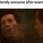 Mr Teacher, We don't feel so good | Literally everyone after exams: | image tagged in peter parker dust,school meme,exams,literally,students | made w/ Imgflip meme maker