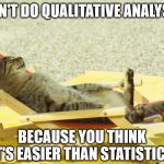 Cat Sunbathing | DON'T DO QUALITATIVE ANALYSIS; BECAUSE YOU THINK IT'S EASIER THAN STATISTICS | image tagged in cat sunbathing | made w/ Imgflip meme maker