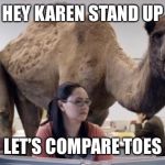 Camel | HEY KAREN STAND UP; LET’S COMPARE TOES | image tagged in camel | made w/ Imgflip meme maker