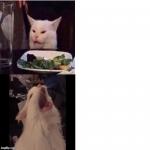 Cat Feline Bling meme