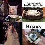 You know it's true | Expensive, Comfy Beds Made Just For Cats; Boxes | image tagged in cat feline bling,cats,boxes,bed,so true memes | made w/ Imgflip meme maker