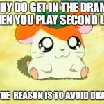 Hamtaro | WHY DO GET IN THE DRAMA WHEN YOU PLAY SECOND LIFE IS THE  REASON IS TO AVOID DRAMA | image tagged in memes,hamtaro | made w/ Imgflip meme maker
