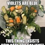 Pickle bouquet | ROSES ARE RED
VIOLETS ARE BLUE; THIS THING EXSISTS
HOW DARE YOU SAY "EW"! | image tagged in pickle bouquet | made w/ Imgflip meme maker