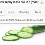 How many miles are in a year meme meme