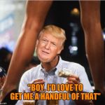 Should I grab it? | "BOY, I'D LOVE TO GET ME A HANDFUL OF THAT" | image tagged in trump at strip club,memes,funny meme,funny,mgtow | made w/ Imgflip meme maker