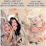 A heavenly arguement | ANGELS ARE NOT SUPPOSE TO MIX AND MATCH HUMANS CUPID! WHAT ARE THESE BOW AND ARROWS FOR THEN? | image tagged in confused cat | made w/ Imgflip meme maker
