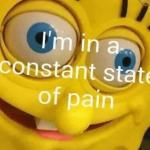 I'm in a constant state of pain meme